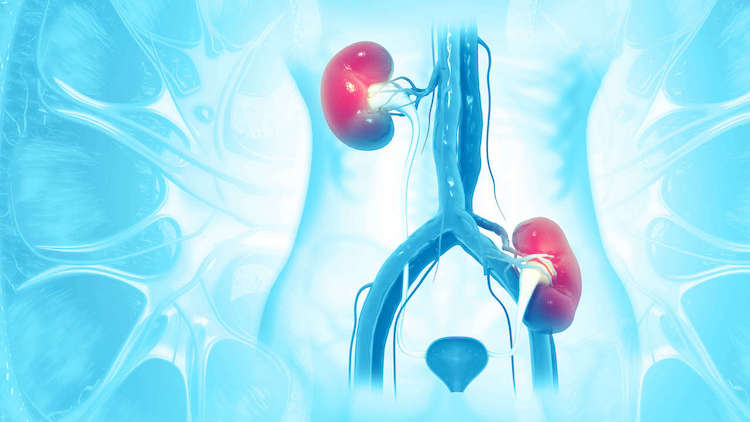 Post Transplant Menu Tile